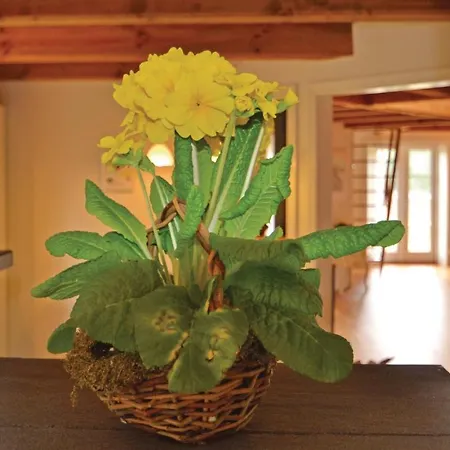 Holiday Sorteba¦rvej Ix Holiday home *